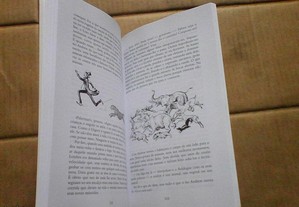 imagem_5