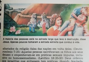 imagem_6
