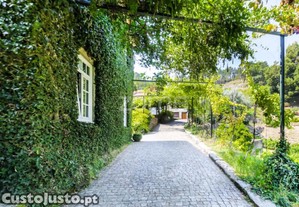 Quinta T4 Com Piscina, Vinha E Capela - Gondar,...