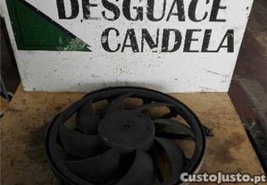 ELECTROVENTILADOR Peugeot 206 berlina 125383