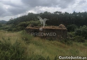 imagem_15