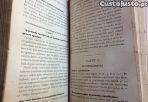 imagem_7