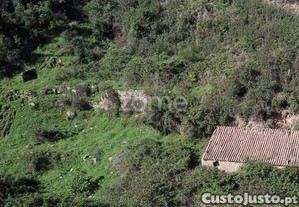 Terreno Rústico Em Alferce, Monchique