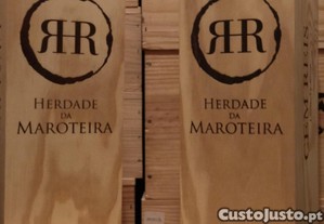 imagem_1