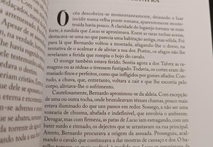 imagem_5