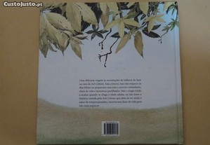 imagem_3