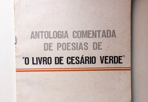 O Livro de Cesário Verde. Antologia Comentada