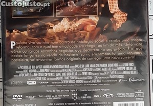 imagem_6