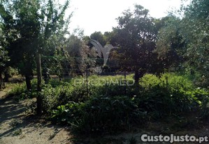 imagem_31