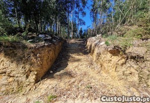 imagem_12
