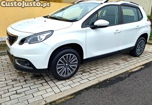 Peugeot 2008 Active - 19