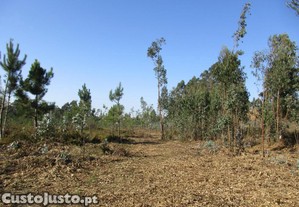 Terreno para Industria em Rates