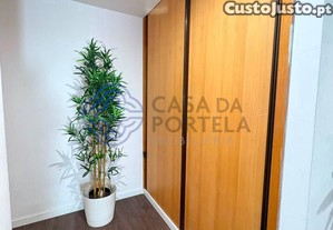 imagem_12