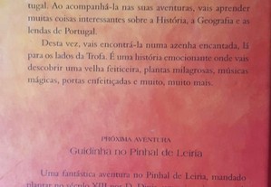 imagem_4