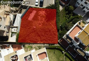imagem_1