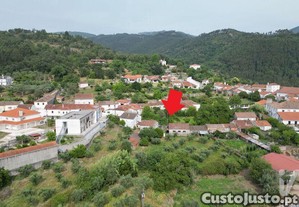 imagem_33