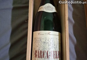 Lote de Vinhos de Excel�ncia Antigos e Recentes