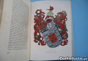 imagem_7