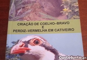 Título: Criação de coelho-bravo e Perdiz -vermelha em cativeiro
