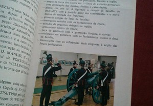 imagem_3