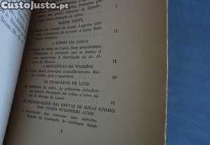 imagem_8