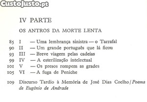 imagem_8