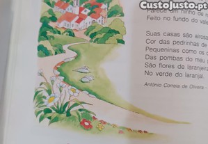 imagem_6
