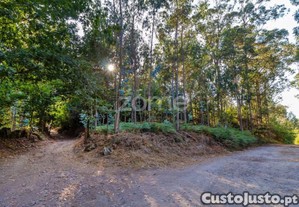 Terreno Rústico Com 13.470 M2 Em Monte Córdova...