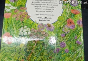 imagem_7