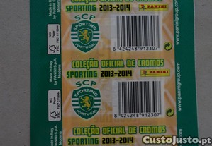 imagem_2