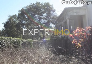 imagem_22