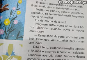 imagem_2