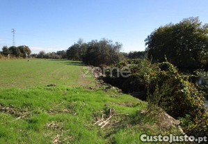 Terreno Rústico Junto Ao Rio Ave Em Fradelos...