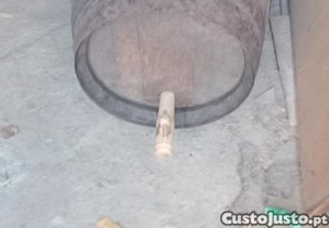 imagem_1
