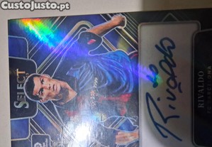 imagem_7