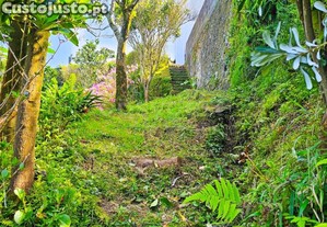 imagem_29