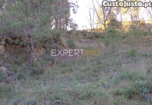 imagem_27