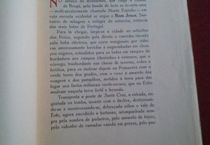imagem_3