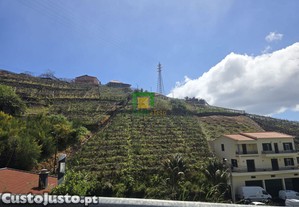 imagem_1