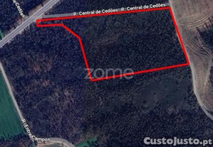 Terreno Rústico - 35.600M2 - Cedões - Trofa