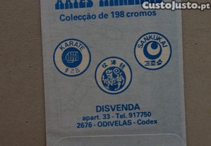 imagem_2