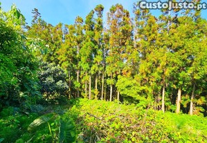 imagem_30