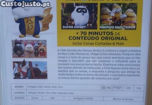 imagem_6