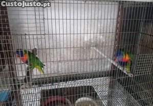 imagem_2