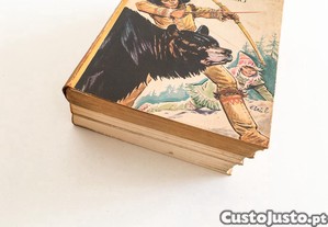 imagem_2