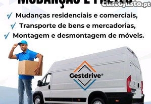 Mudanças e Transporte