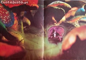 imagem_5