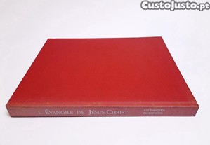 imagem_5