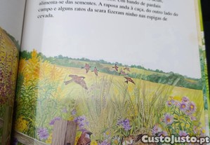 imagem_4