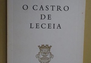 "O Castro de Leceia" de João Luis Cardoso